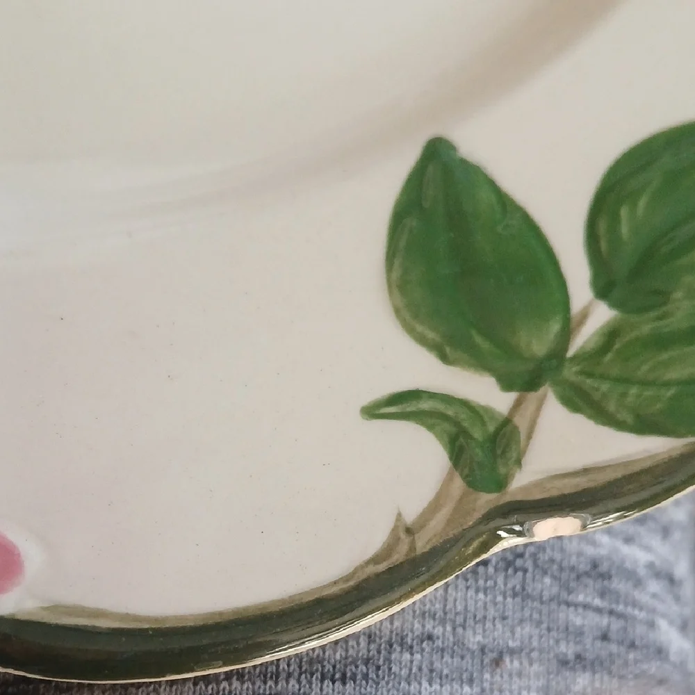Franciscan desert rose